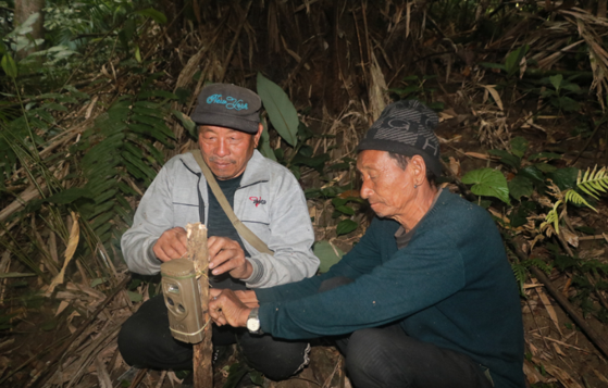 Field Actions photo 02