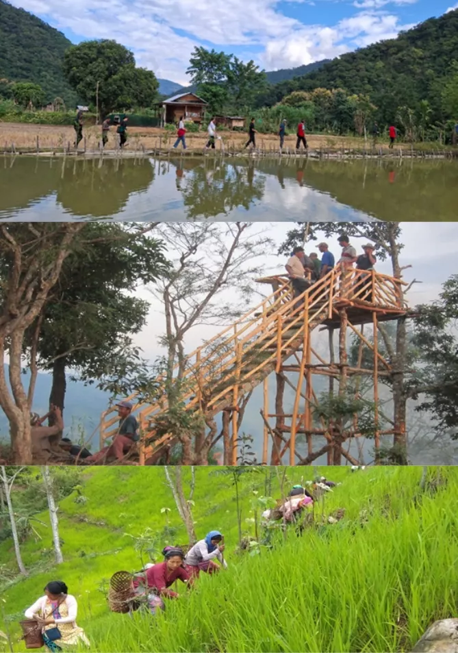 Community livelihood activities connected to peace and ecological care