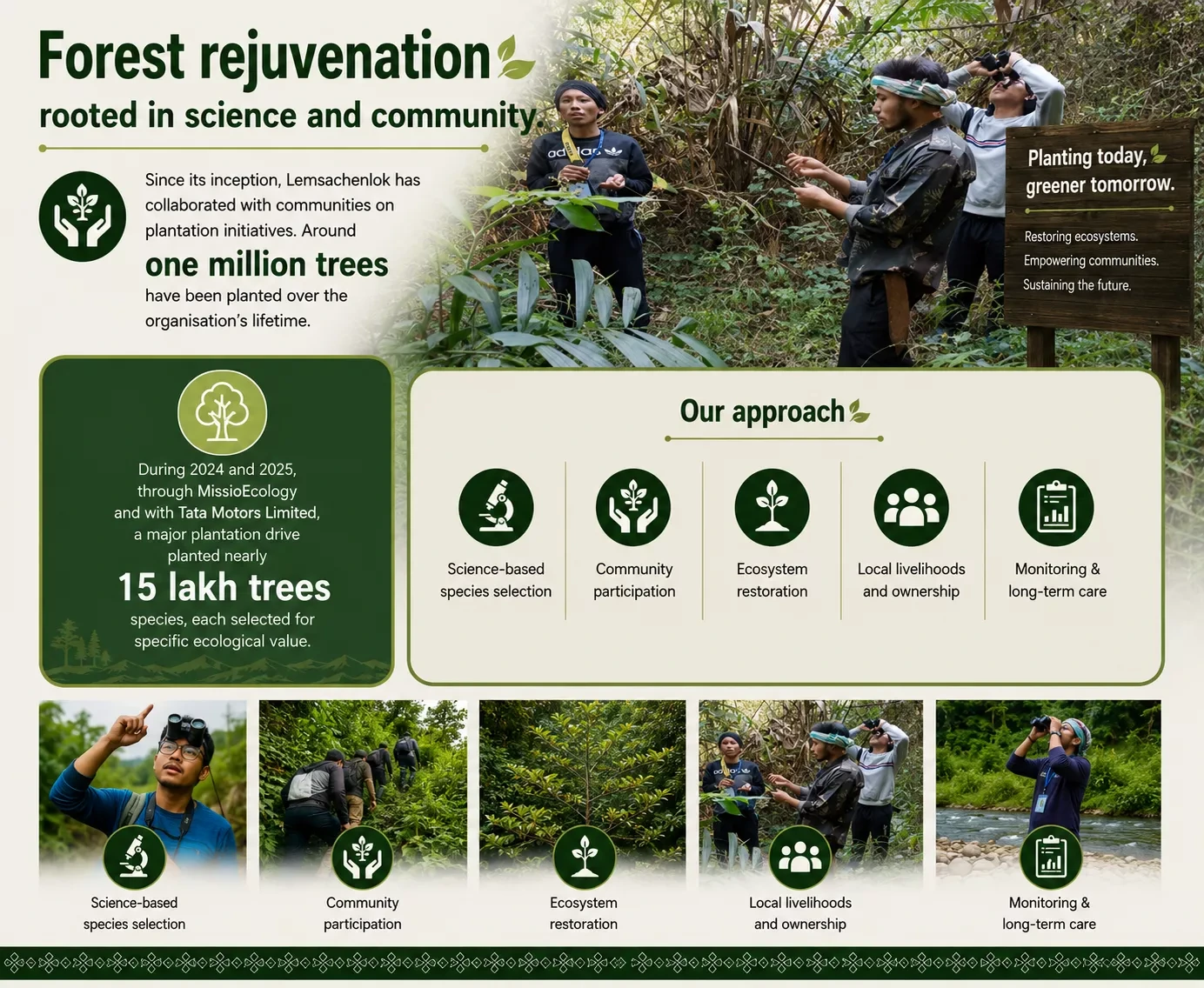 Forest restoration and tree planting initiative